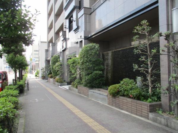 アルファステイツ勝山通り