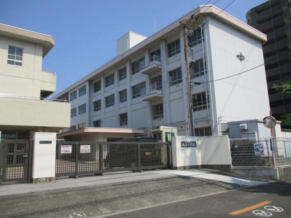 松山市松前町３丁目の土地(松山市立味酒小学校)