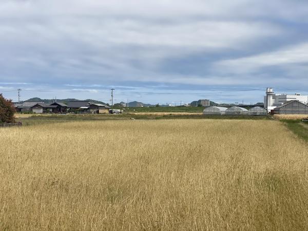 伊予郡松前町大字大間の土地