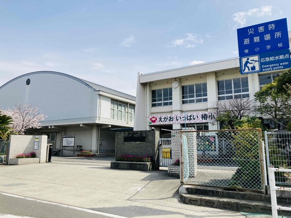 古川南１丁目　４号地(松山市立椿小学校)
