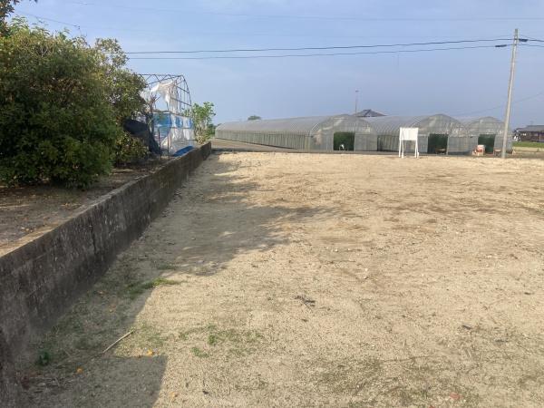西条市上市の土地