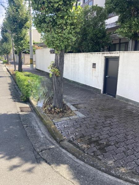 今治市枝堀町1丁目の土地(現地土地写真)