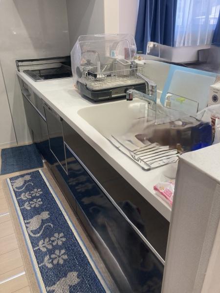 今治市大西町紺原の中古一戸建て