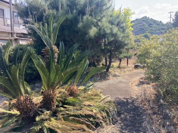 西条市河原津の中古一戸建て