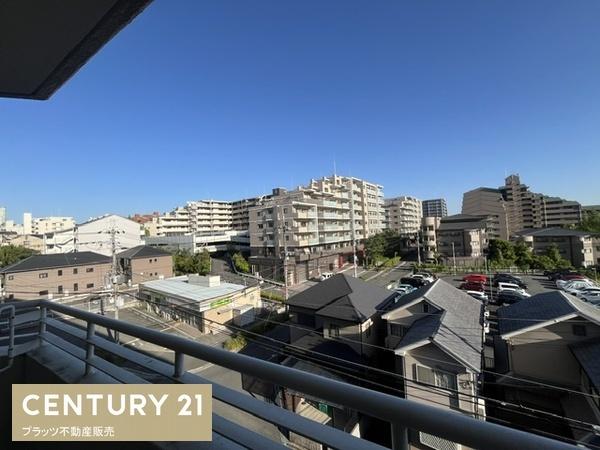 緑丘コータース