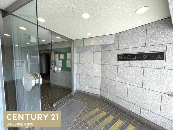 緑丘コータース