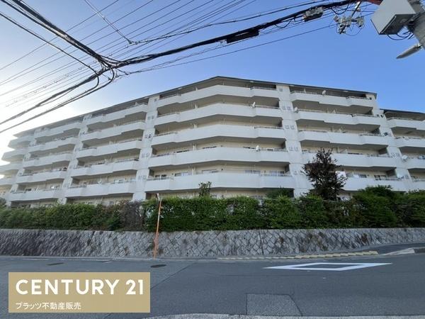 緑丘コータース