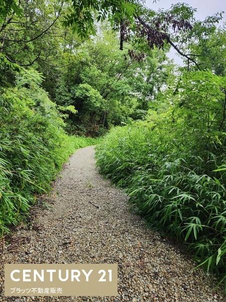 神戸市北区道場町塩田の土地