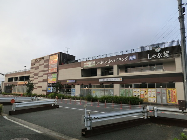 コスモ戸塚ツインコートA棟(食品館あおば戸塚町店)