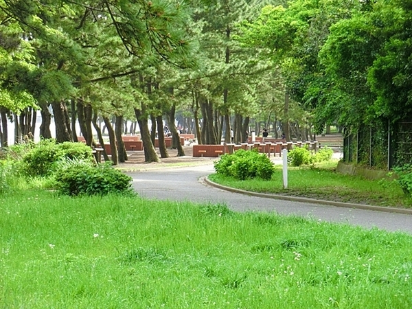 横浜市金沢区六浦東1丁目の新築一戸建(野島公園)