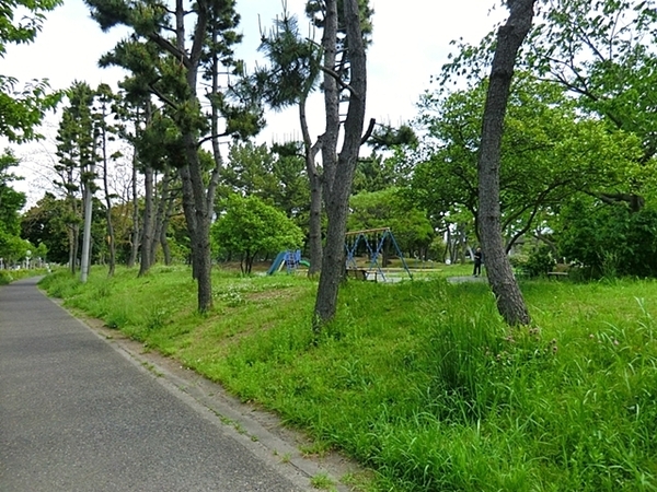 横浜市金沢区洲崎町の新築一戸建(まつかぜ公園)
