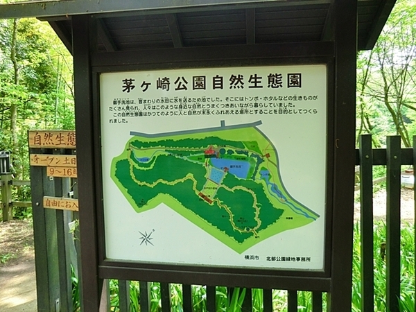 横浜市都筑区茅ケ崎東1丁目の新築一戸建(茅ヶ崎公園)