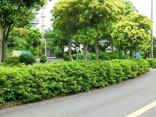 コープ保土ヶ谷Ｄ棟(狩場町第二公園)