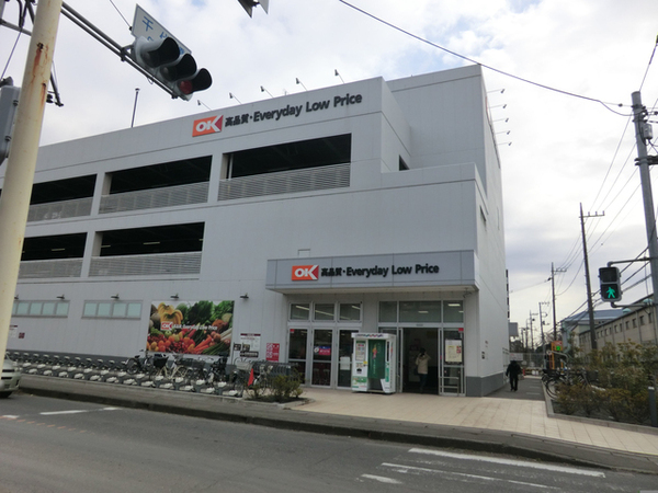 ダイアパレスつづきの丘(オーケー川和町店)