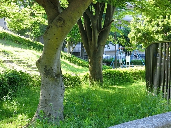 横浜市南区蒔田町の新築一戸建(蒔田三度台公園)