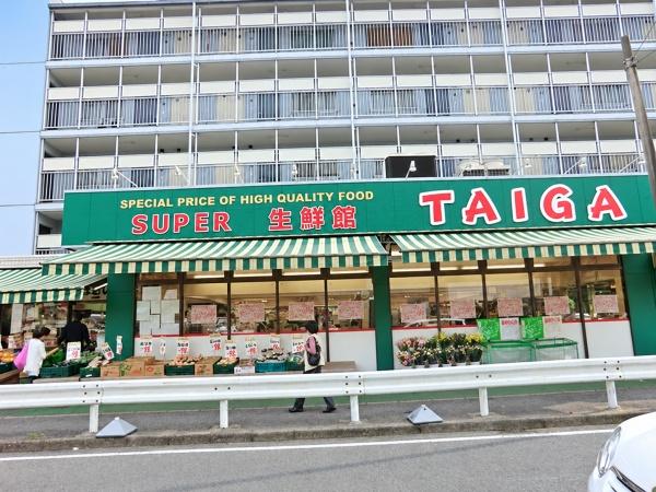 横浜市南区永田北２丁目の新築一戸建(スーパー生鮮館TAIGA永田店)