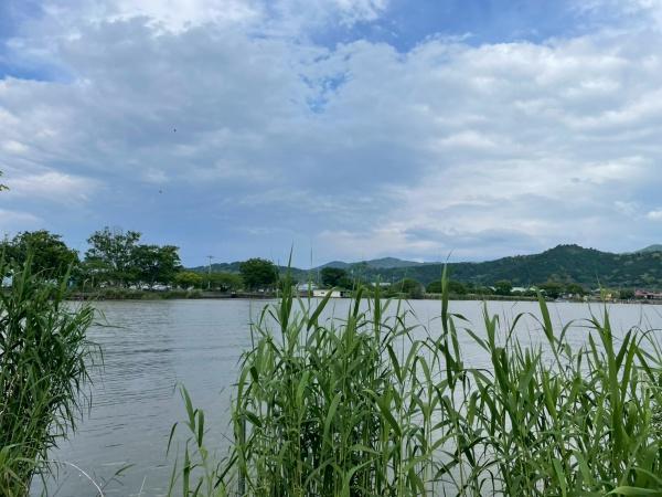 近江八幡市安土町下豊浦の土地