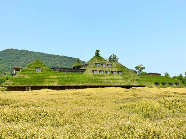 近江八幡市浅小井町の土地(ラコリーナ近江八幡)