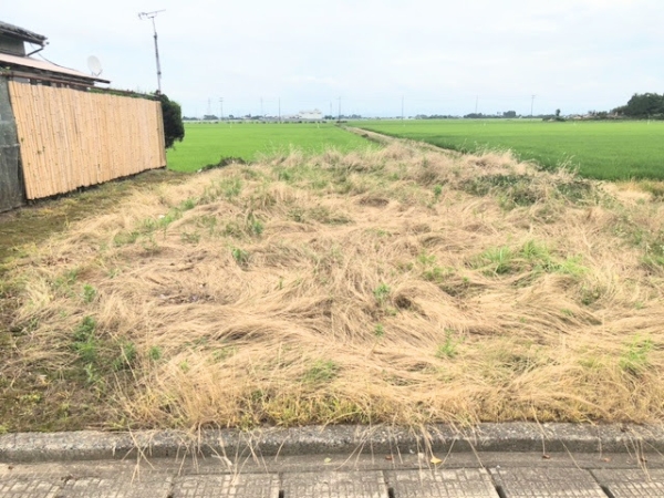 西蒲区栄　売地