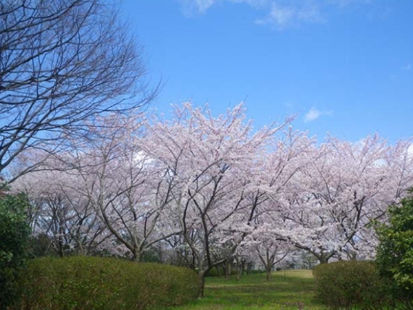 聖籠町諏訪山　A棟(新潟県立島見緑地)