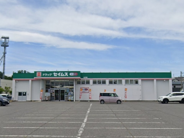 新潟市北区松浜新町の中古一戸建て(ドラッグセイムス松浜店)