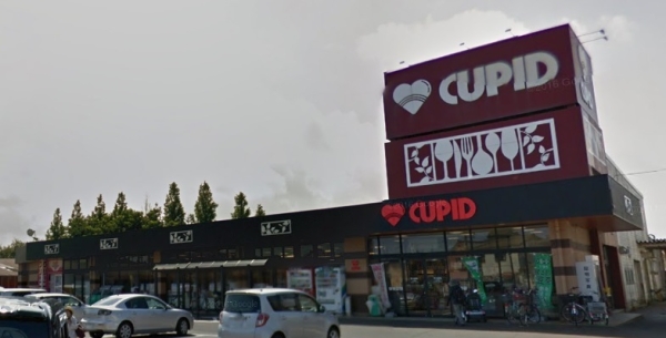 新潟市北区三軒屋町の中古一戸建て(キューピット松浜店)