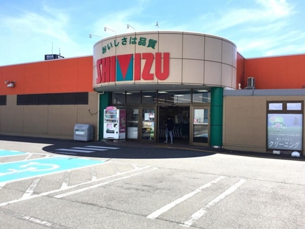 新潟市西区坂井砂山4丁目の土地(清水フードセンター大学前店)