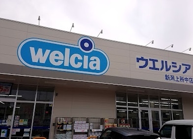 新潟市中央区上所中３丁目の中古一戸建て(ウエルシア新潟上所中店)