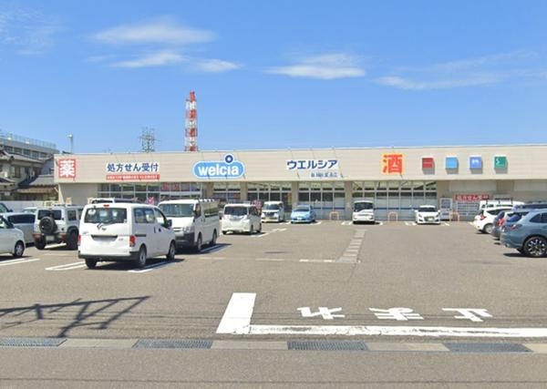 新潟市東区小金台の新築一戸建(ウエルシア新潟秋葉通店)