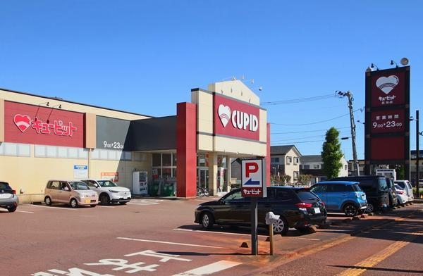 新潟市中央区弁天橋通2丁目の土地(キューピット長潟店)