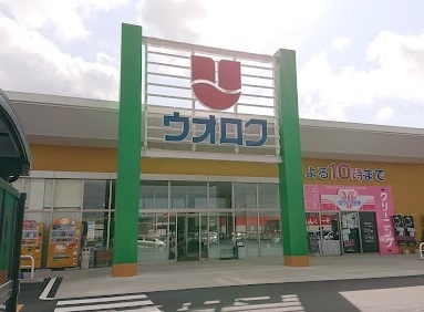 新潟市南区下山崎の土地(ウオロク白根大通店)