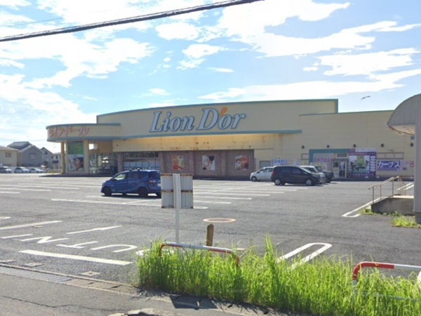 新潟市西区小針5丁目の新築一戸建(リオン・ドール寺尾店)