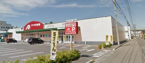 パレ・ドール日の出新潟(クスリのアオキ馬越店)