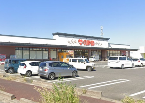 新潟市江南区亀田水道町1丁目の新築一戸建(キューピットかめだ三條岡店)
