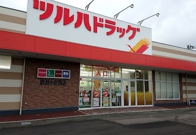 新潟市西区真砂4丁目の中古一戸建て(ツルハドラック新潟小針西店)