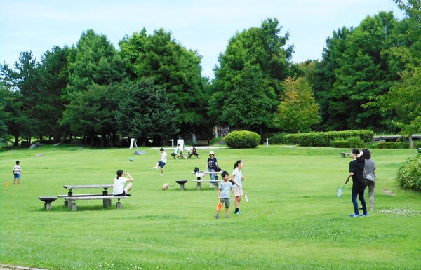 新潟市中央区神道寺南2丁目の新築一戸建(新潟県スポーツ公園多目的運動広場(北側))