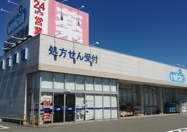 新潟市西区新通西２丁目の新築一戸建(ウエルシア新潟大学前店)