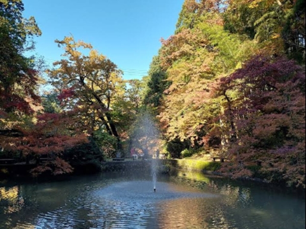 加茂市新栄町の新築一戸建(加茂山公園)