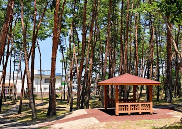 新潟市東区松崎1丁目の新築一戸建(河渡中央公園)