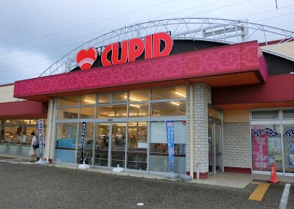 ラ・テール美咲リバービュー(キューピット出来島店)