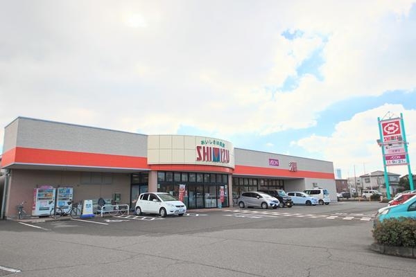 新潟市東区大山2丁目の中古一戸建て(清水フードセンター山の下店)