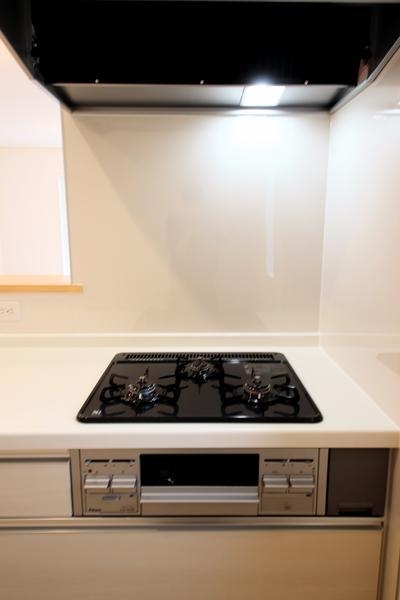 新潟市西区鳥原新田の新築一戸建