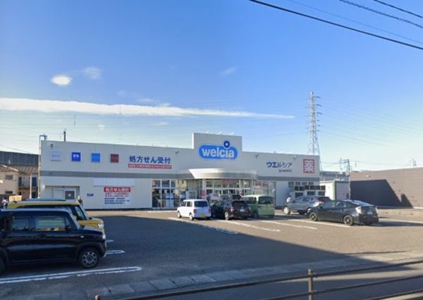 新潟市中央区上近江２丁目の土地(ウエルシア新潟新和店)