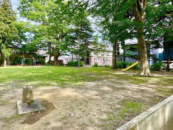 長岡市新町3丁目 新築戸建(蔵王公園)