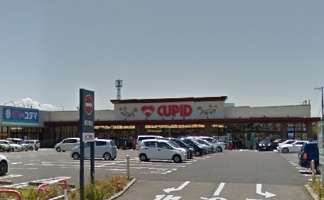 新潟市東区江南6丁目の土地(キューピット南紫竹店)