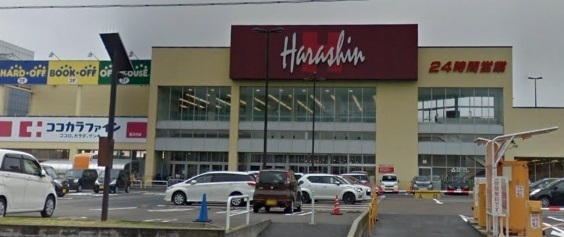 新潟マンション(原信南万代店)