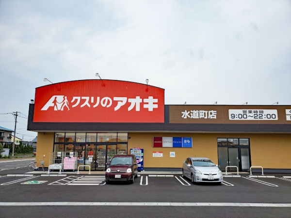 燕市杉柳の新築一戸建(クスリのアオキ　水道町店)