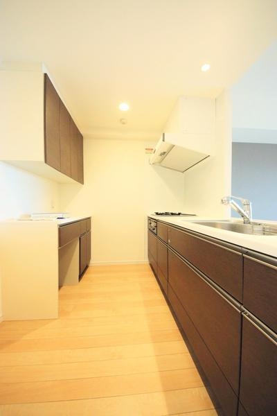 ダイアパレス河渡