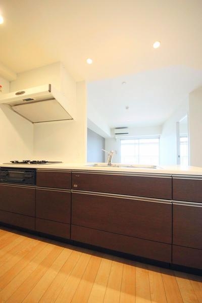 ダイアパレス河渡