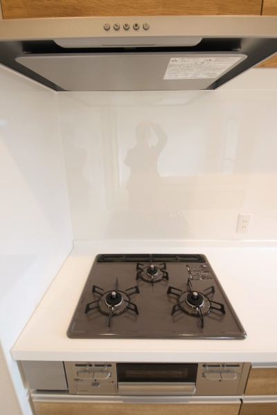 ダイアパレス笹口3丁目